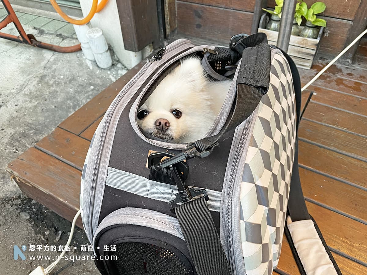 豆豆